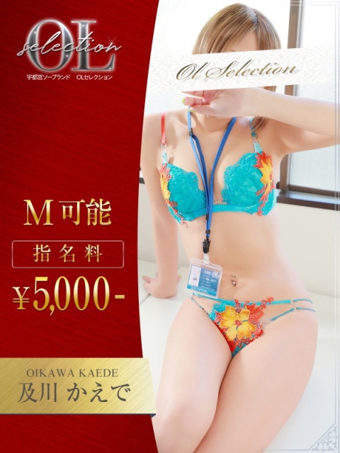 OLセレクション宇都宮店 及川　かえで